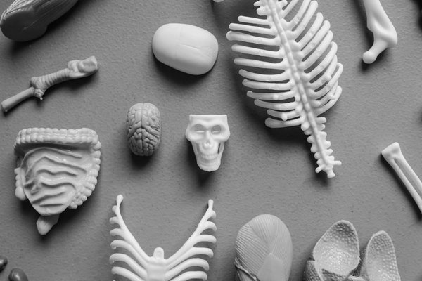 Séjours adaptés en Tunisie : enchantez vos vacances accessibles